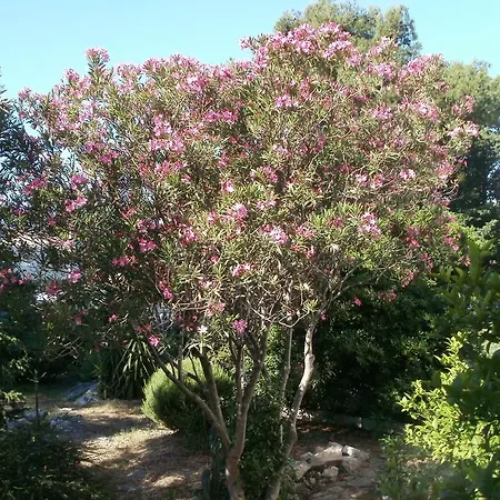 Grgin Lägenhet Kaštela