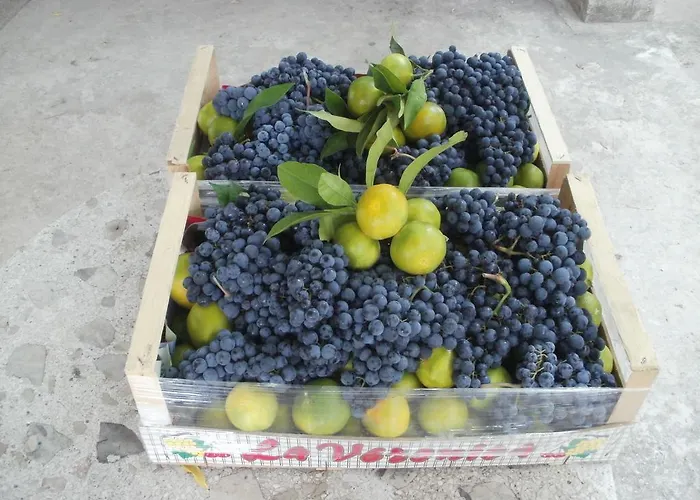 Appartamento Grgin Kaštela