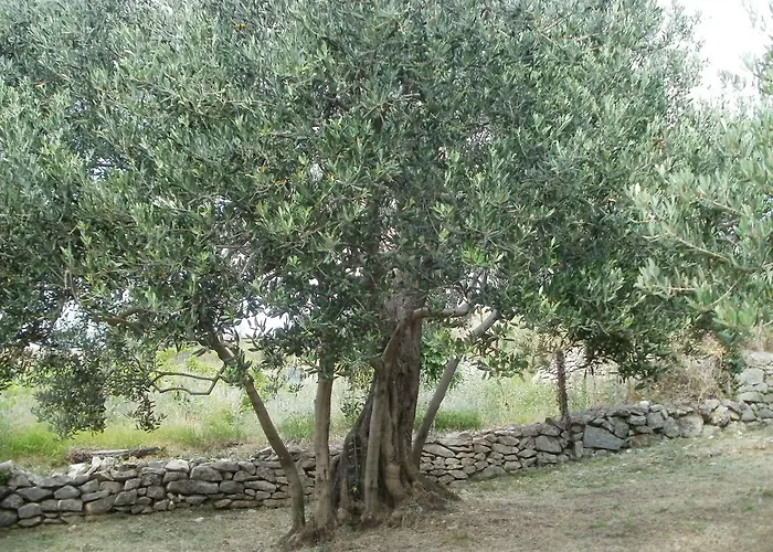 Grgin Appartamento