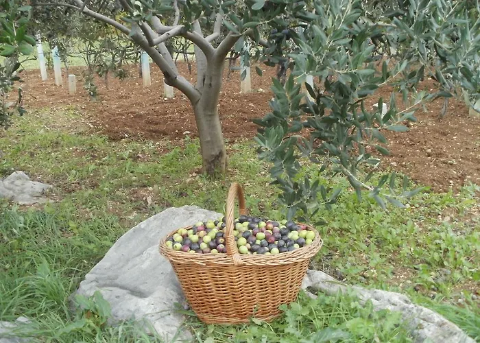 Grgin Appartamento