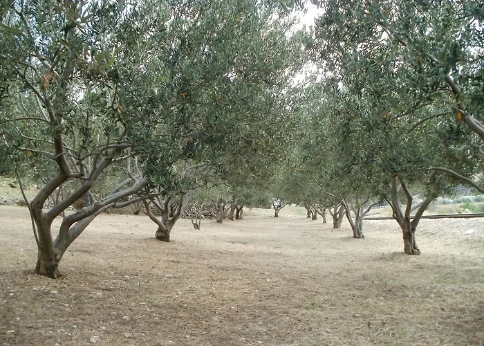 Appartamento Grgin