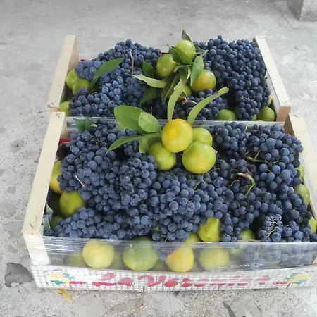 Appartamento Grgin Kaštela