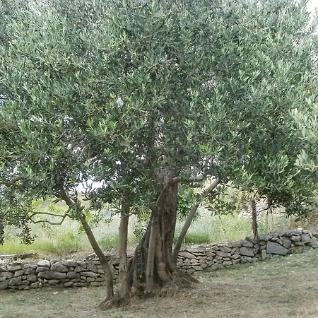 Grgin Appartamento