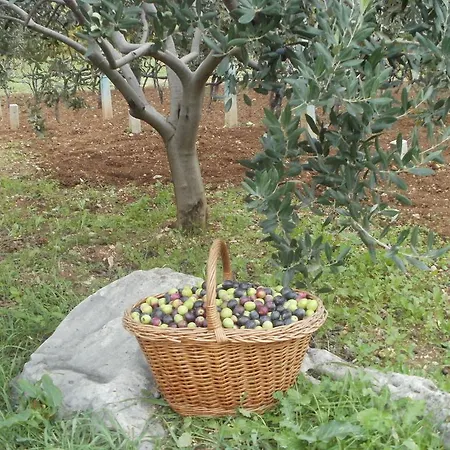 Grgin Appartamento