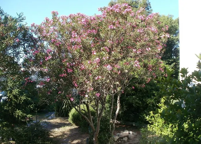 Grgin Apartmán Kaštela